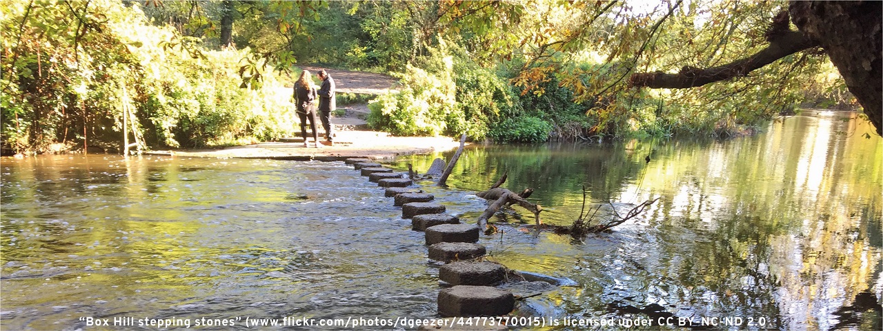 stepping stones