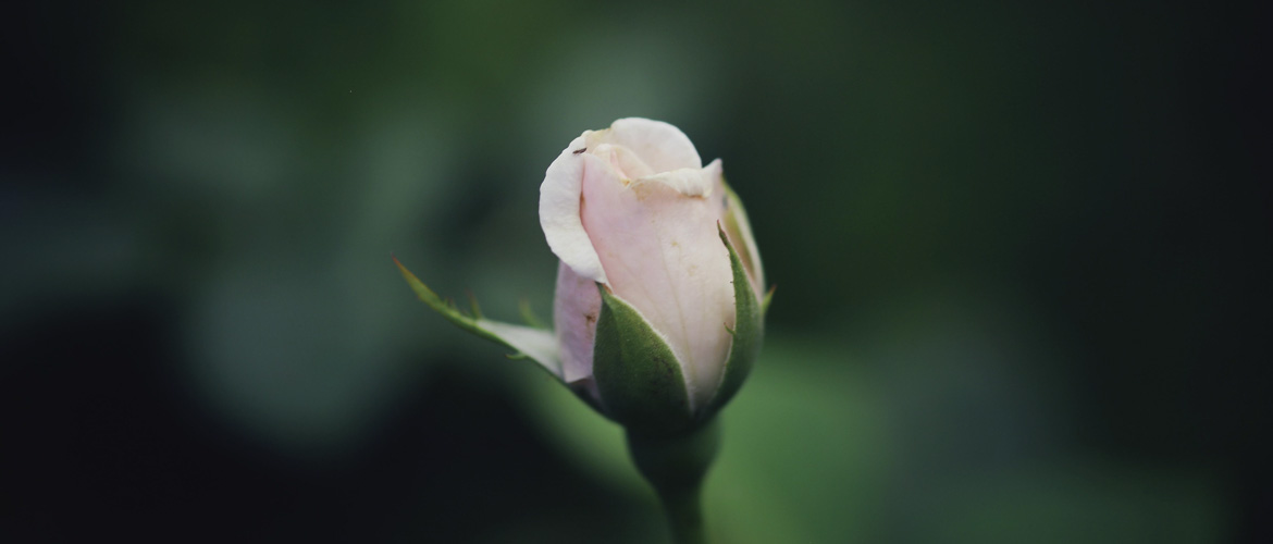 Not Awakening Love Before its Time