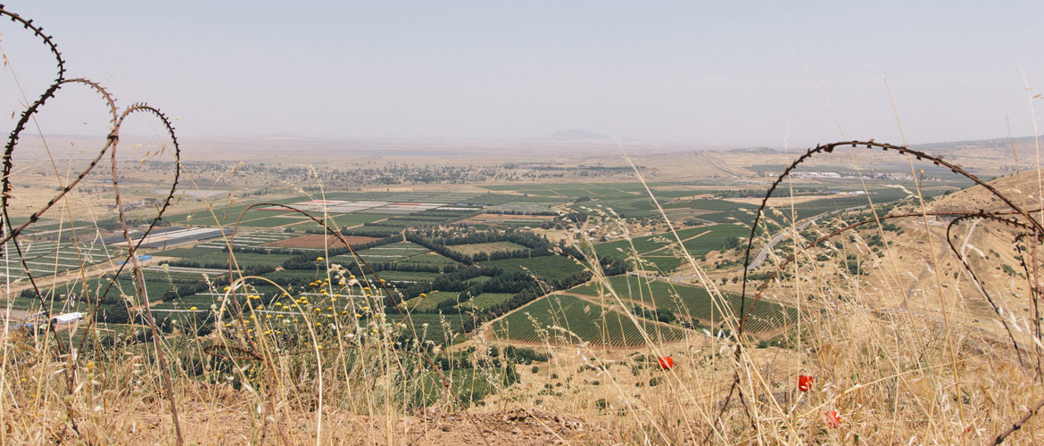 razor wire and field