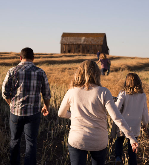 people walking through field