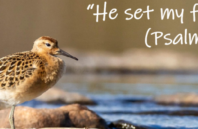 Psalm verse