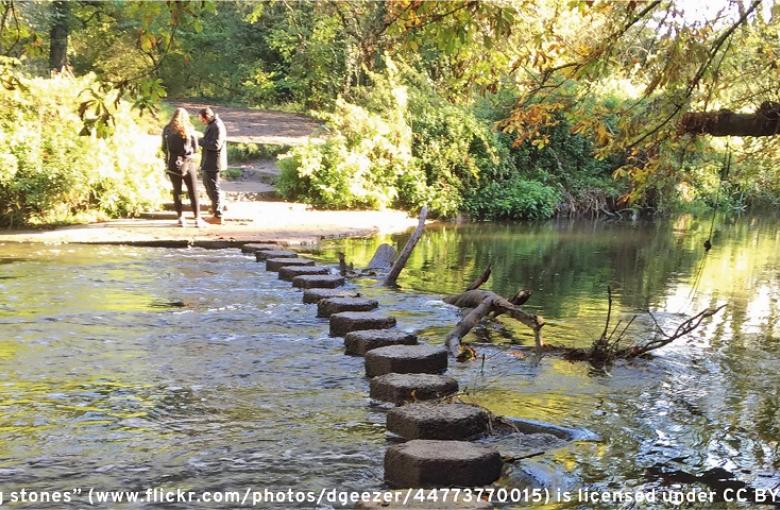 stepping stones