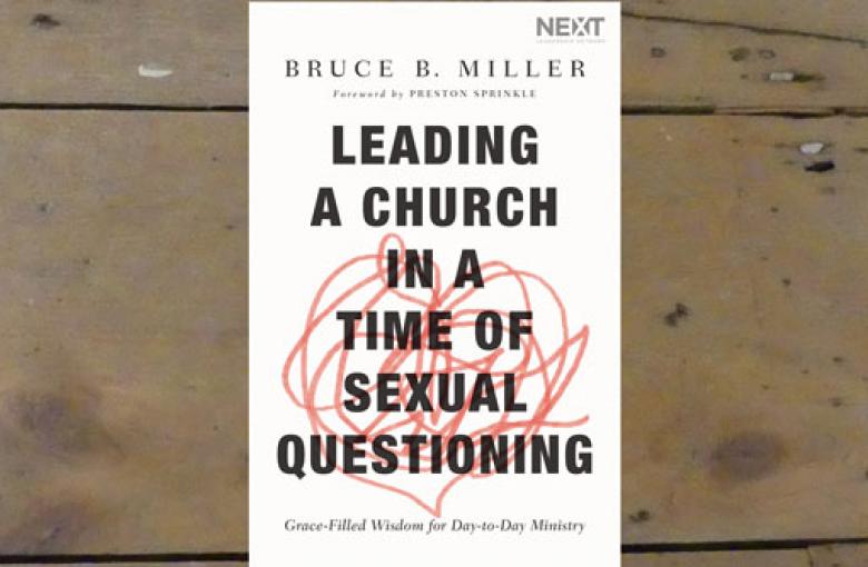 leading a church in a time of sexual questioning book