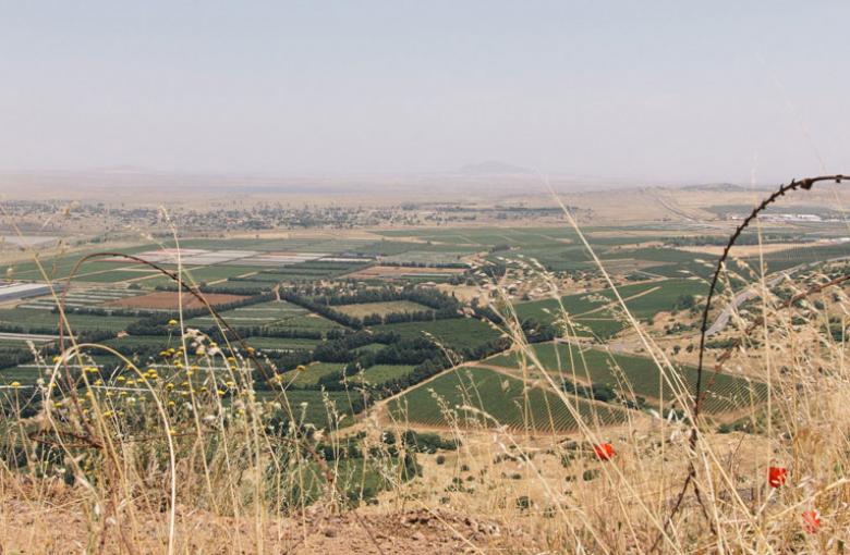 razor wire and field